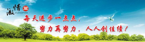 龙珠体育:社会实践感想800字(暑假社会实践感悟800字)